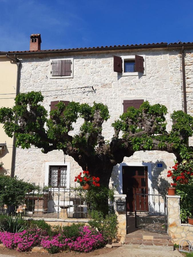 Casa Girasole Vila Buje Exterior foto